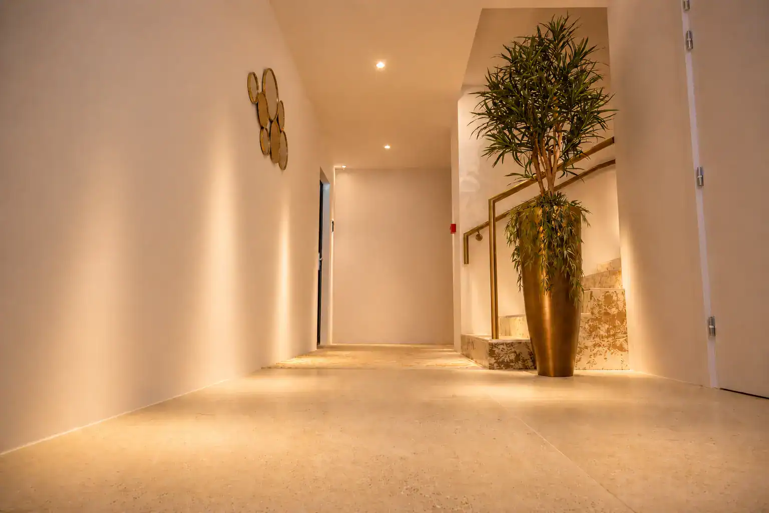 Entrée d'immeuble élégante avec décoration minimaliste et plante verte en pot doré.
