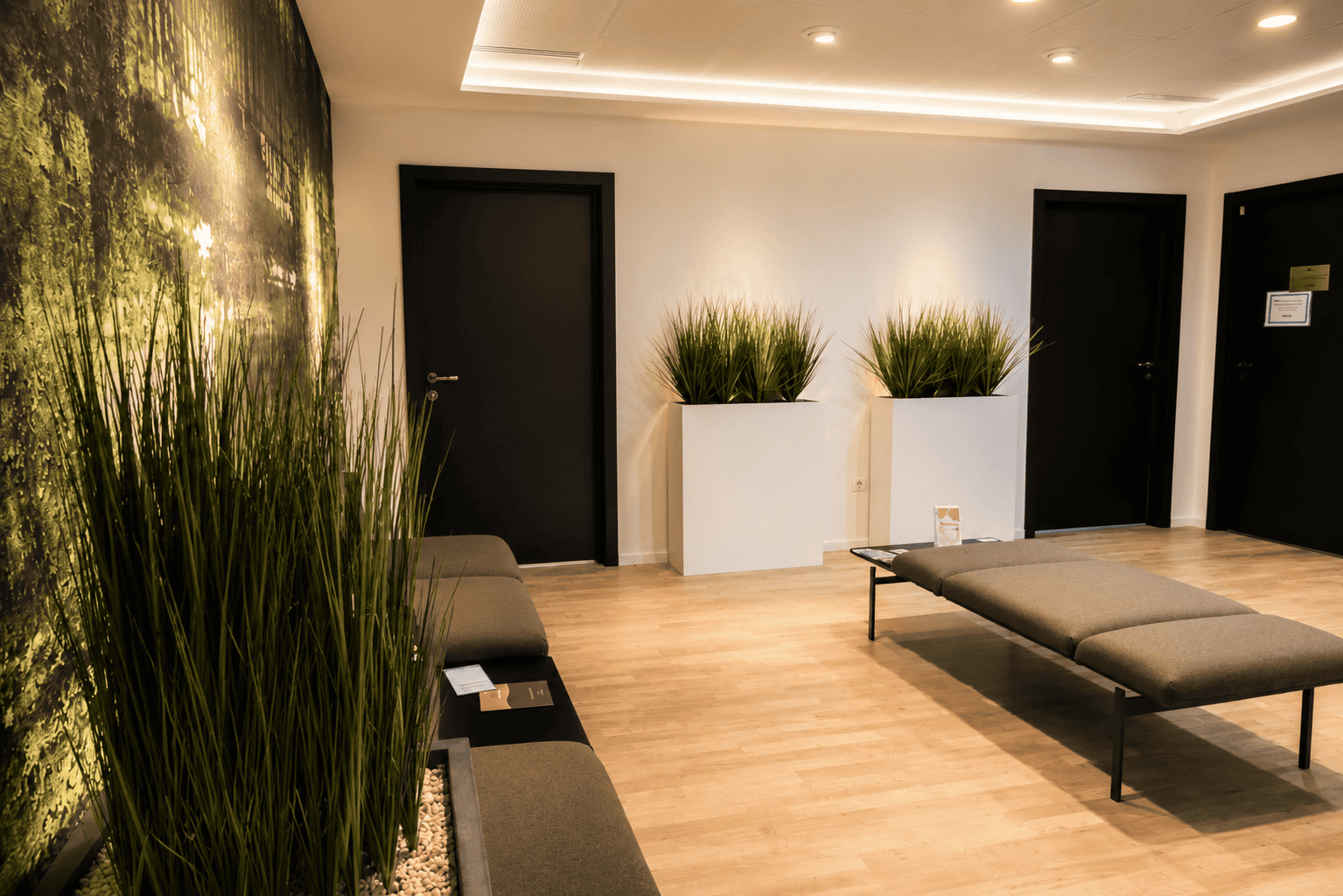Espace d'accueil élégant avec plantes en pot et mobilier design dans un environnement professionne.