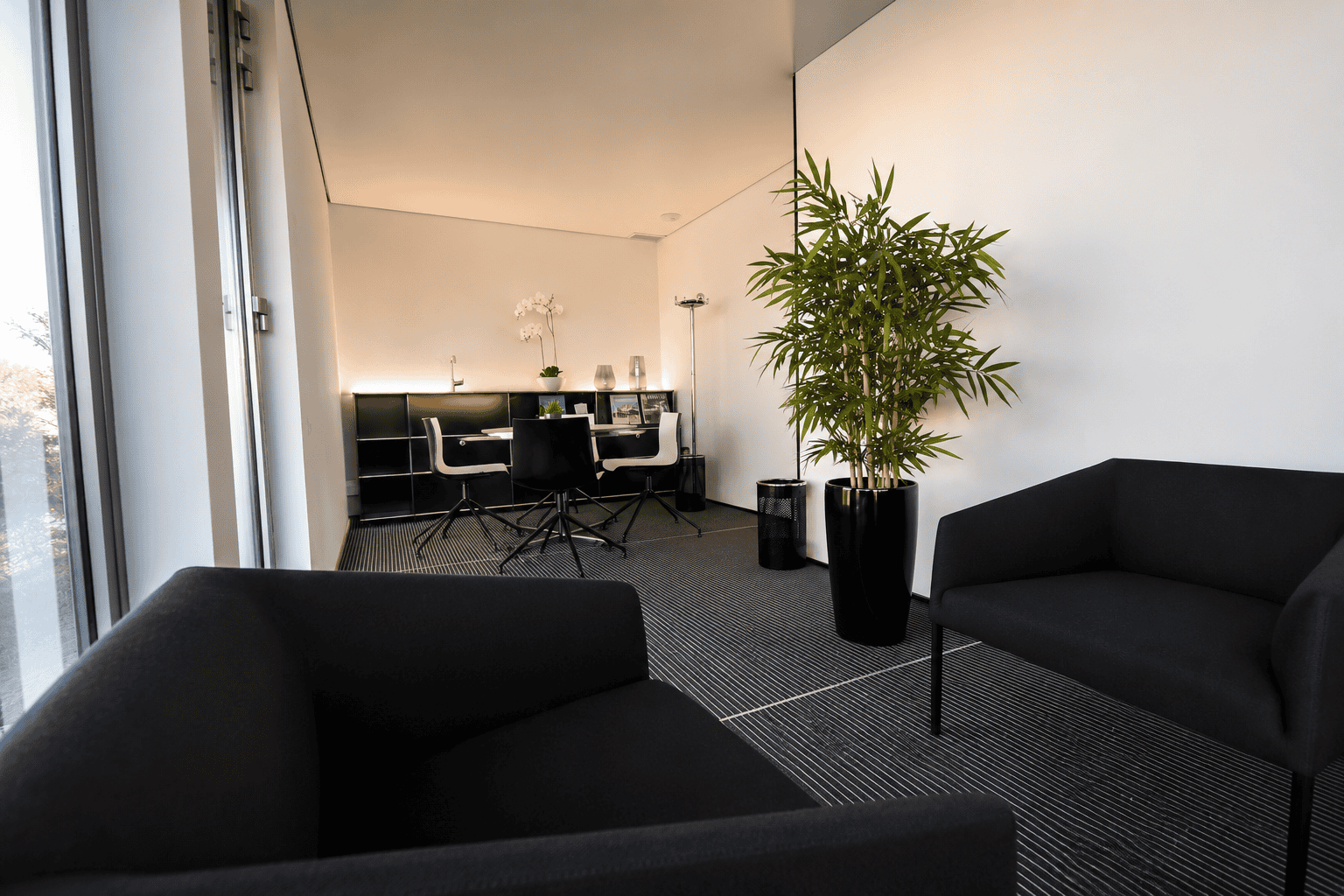 Espace de travail contemporain avec mobilier noir, grande plante verte et ambiance lumineuse à Colma.